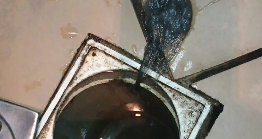 Desentupidor de ralo Hidrozen em Bauru