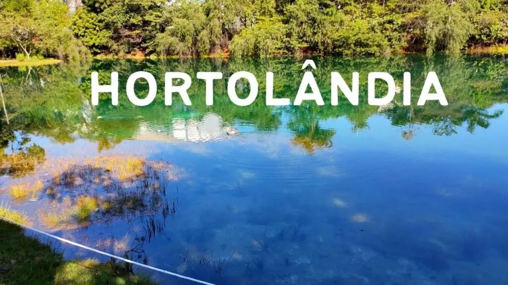 Desentupidora em Hortolândia