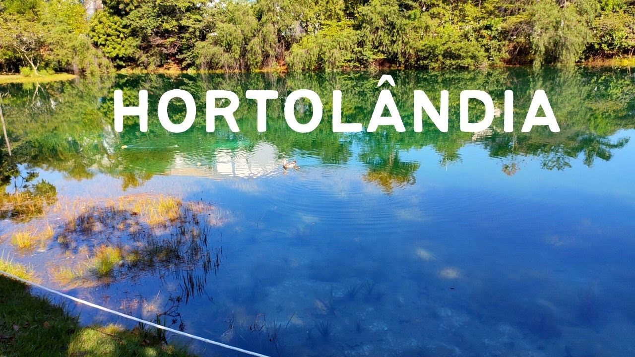 Desentupidora em Hortolândia