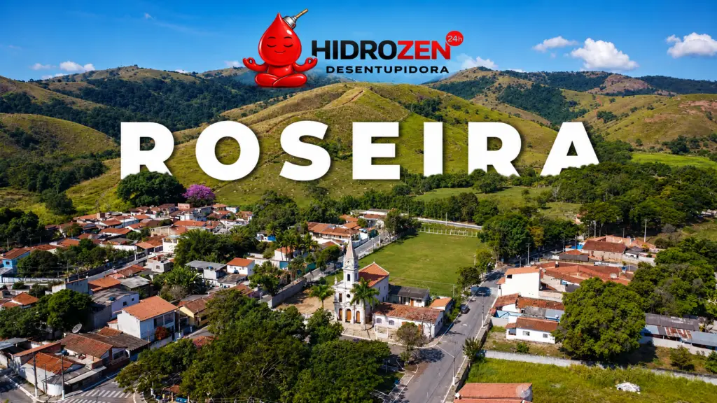 desentupidora em Roseira